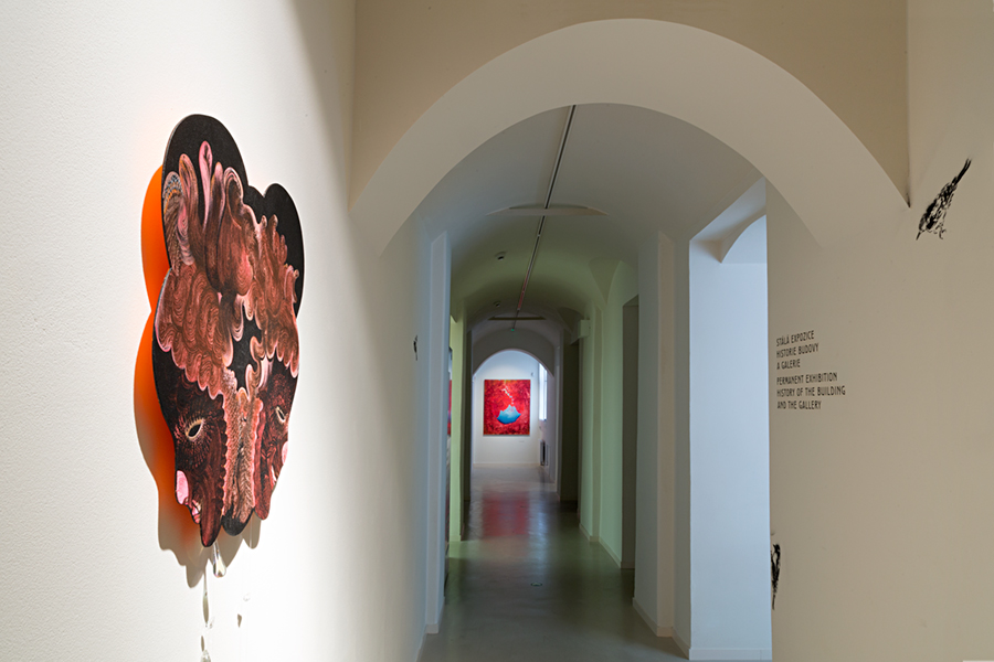 Heart on the move