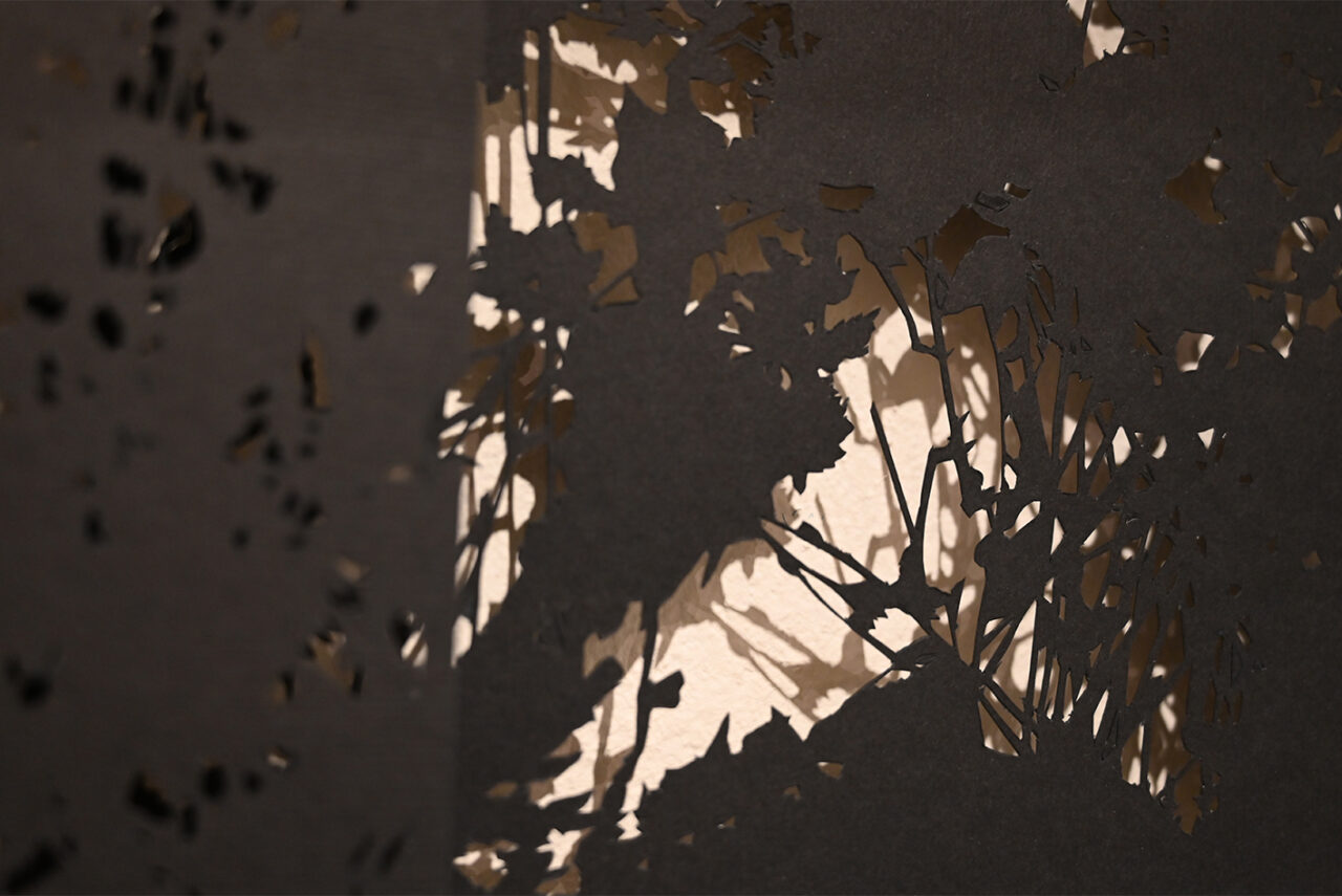 Dorota Sadovská /SK/, Alannah Robins /IRL/ Spirit