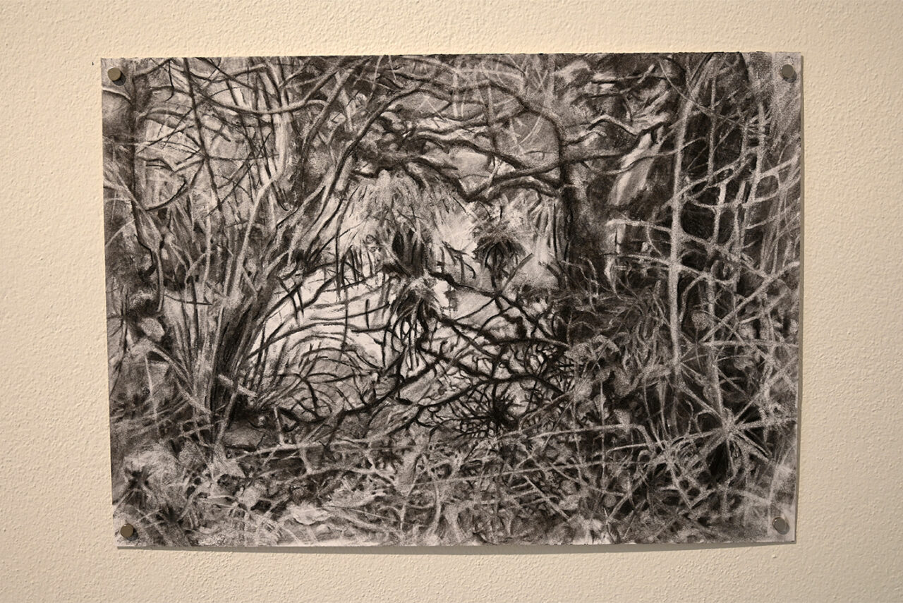Dorota Sadovská /SK/, Alannah Robins /IRL/ Spirit